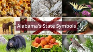 What are the Alabama State Symbols?