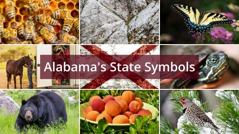 Alabama state symbols