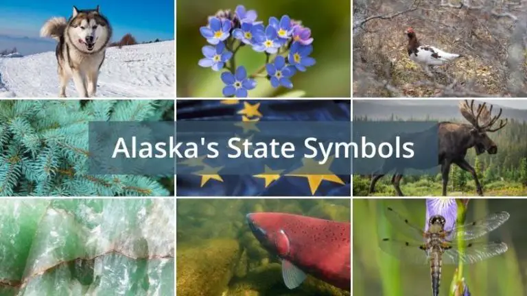 What Are The Alaska State Symbols? - Foreign Usa