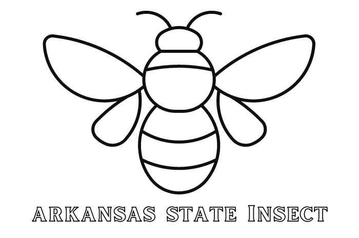 Arkansas state insect