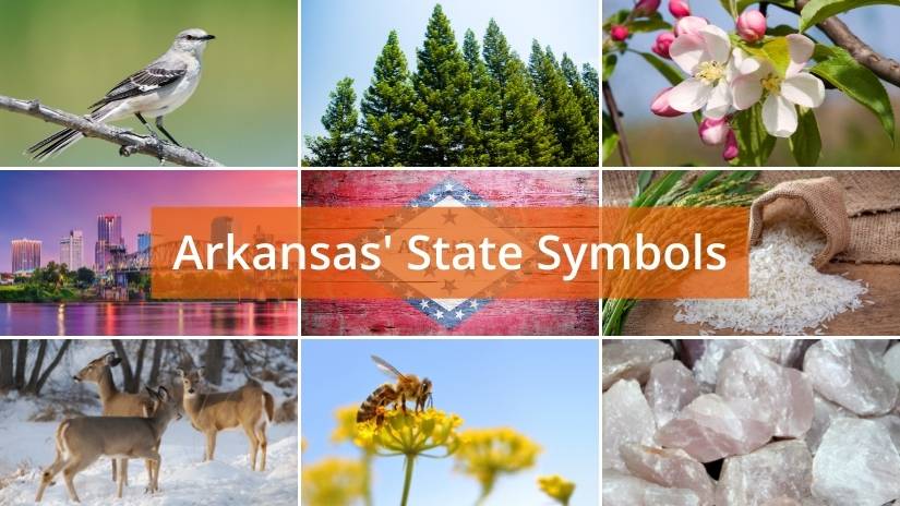 Arkansas state symbols