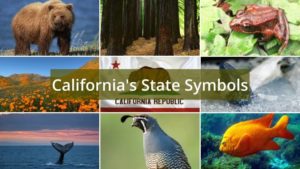 What are California’s State Symbols?