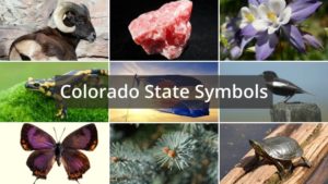 What are the State Symbols of Colorado?
