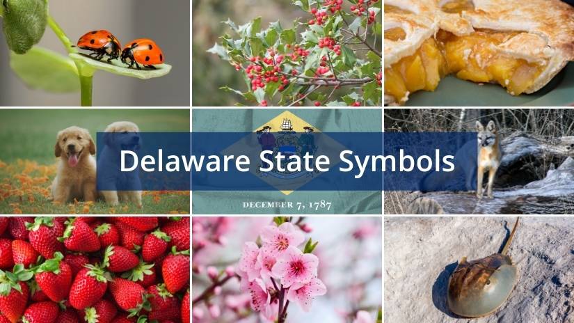 Delaware state symbols
