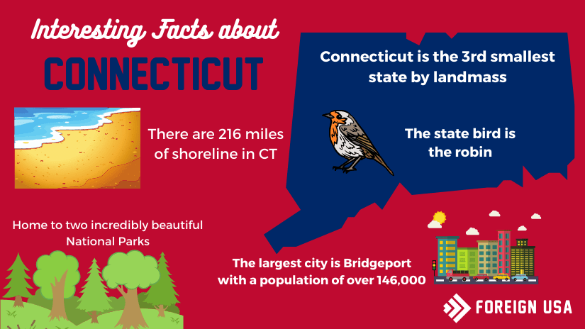 Read more about the article 41 Interesting Facts About Connecticut
