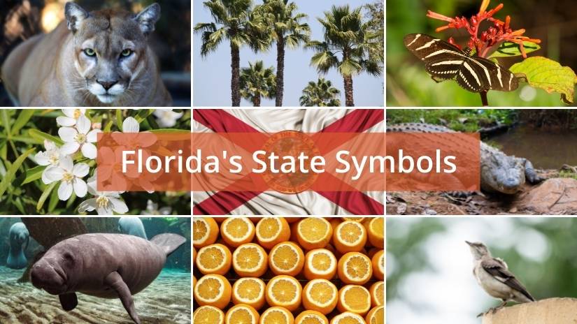 Florida's state symbols