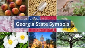 What are the Georgia State Symbols?