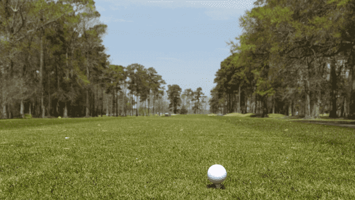 Golf Facts About South Carolina