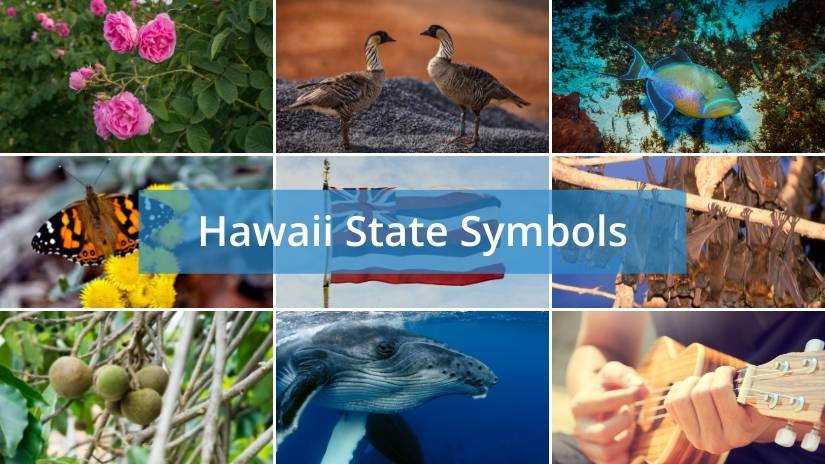 Hawaii state symbols
