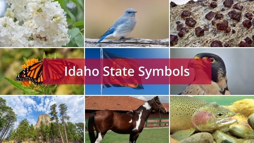 Idaho state symbols