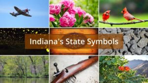 What are the State Symbols of Indiana?