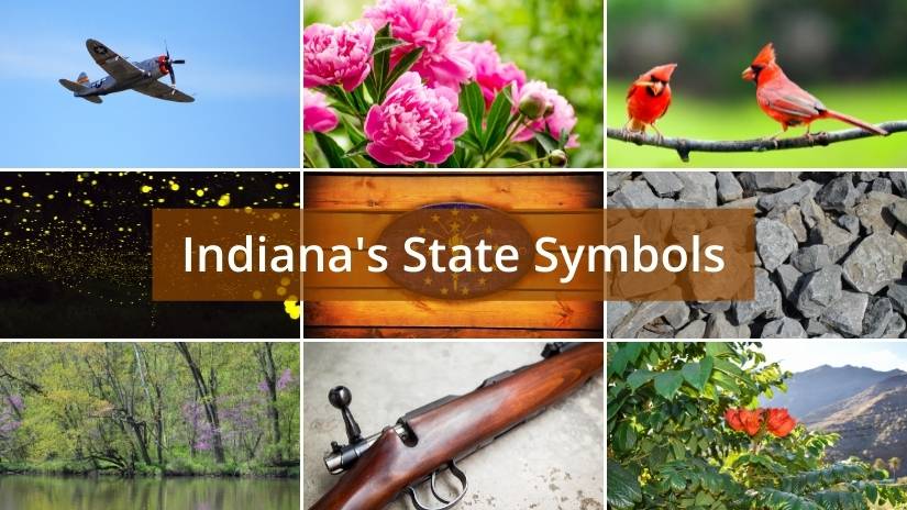 Indiana state symbols