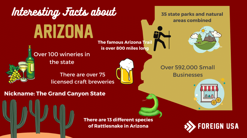 Read more about the article Facts About Arizona