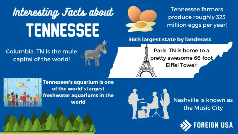 31 Interesting Facts About Tennessee - Foreign USA