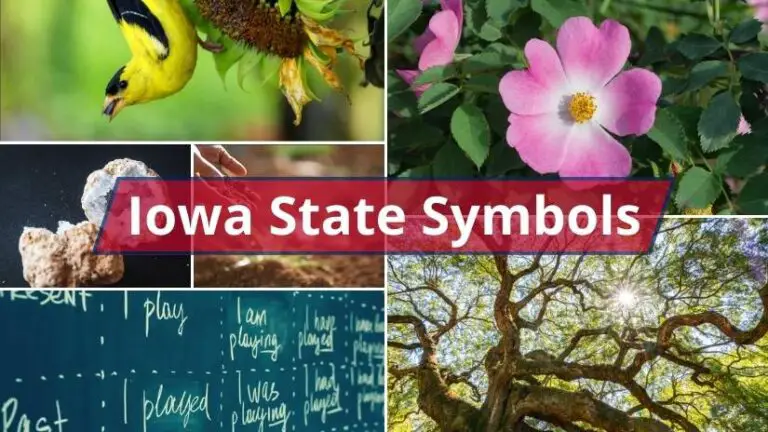 what-are-the-iowa-state-symbols-foreign-usa