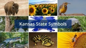 What are the Kansas State Symbols?