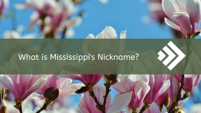 Read more about the article Mississippis Nickname