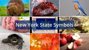 What are the New York State Symbols?