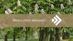 Ohio’s Nickname