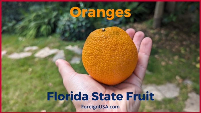 A vibrant, ripe orange placed on a leafy green background, representing the Florida state fruit